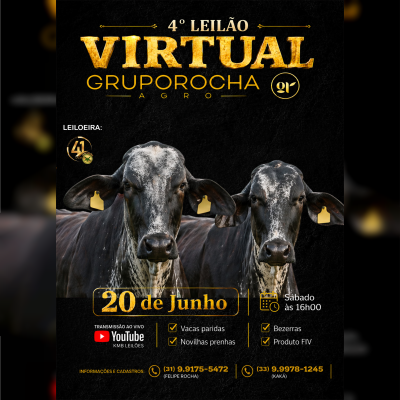 4º Leilao Grupo Rocha & Convidados